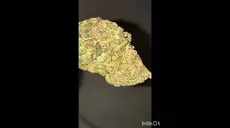 Ripped of Runtz ROR T28 | AAAA | LOT 420 | UK Medical #medicalcannabisuk #cannabiseducation #shorts