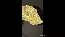 Cannamacist Video Thumbnail