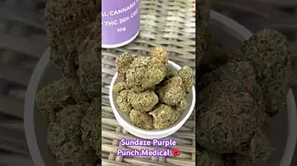 Sundaze Purple Punch Medical #ukmedicalcannabis #painrelief #medical #flower #sundaze