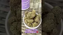 Farm Gas Aurora Medical ukmedicalcannabis medical flower plantmedicine alternaleaf herbal Video Thumbnail