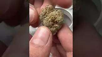 LA KUSH CAKE BY ADVEN 25% THC Medical Cannabis Review
