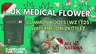 UK MEDICAL FLOWER | COMMON ROOTS| WZ | T25 | WATERMELON ZKITTLEZ