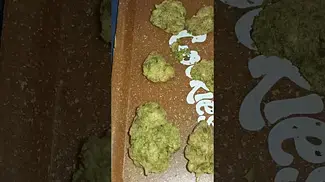 Green Karat Supreme diesel out the bag