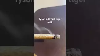 Tyson 2.0 T28 tiger milk burn