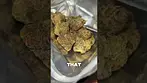 Sitka Legends White Hot Guava | UK Medical Cannabis #review