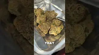 Sitka Legends White Hot Guava | UK Medical Cannabis #review