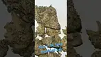 #mamedica #ukmedicalcannabis MAC1