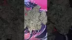 Peace Naturals ~ GMO Cookies (31.39%)