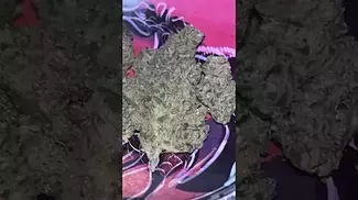 Peace Naturals ~ GMO Cookies (31.39%)