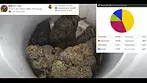 Aurora® Pedanios T27 Farm Gas Medical Cannabis - UK REVIEW (sound fixed)