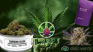 Durban Kush by Cielo Verde/4c Labs T26 : Medical Cannabis Review