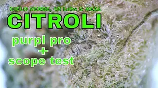 CITROLI Purpl Pro & Scope tests | 8.5/g | 25% | Cielo Verde, 4C & Xeal