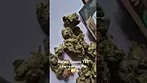 Althea: Cosmic - Cherry Moon Pie (UK Medical Cannabis Prescription)