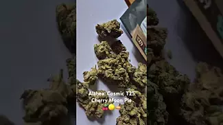 Althea: Cosmic - Cherry Moon Pie (UK Medical Cannabis Prescription)