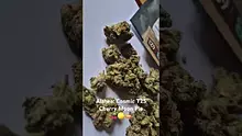 ScottiDunCanna Video Thumbnail