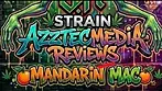 JR-STRAINS Mandarin Mac T31 Azztecmedia UK MEDICAL Reviews #medbud.wiki #medicalcannabis #UK #pain