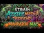 Video Thumbnail: Azztecmedia UK Medical