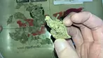MEDICUS | APPLE FRITTER | UK MEDICAL CANNABIS PATIENT FLOWER VIDEO 2025