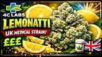 UK MEDICAL FLOWER | 4C LABS | LEMONATTI | T25 #420community #ukmedicalcannabis #420 #cbpm #uk