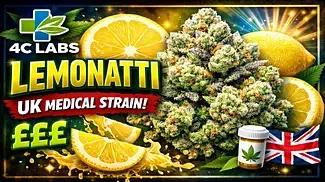 UK MEDICAL FLOWER | 4C LABS | LEMONATTI | T25 #420community #ukmedicalcannabis #420 #cbpm #uk