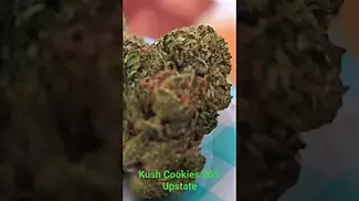 UK Medical Flower Upstate Kush Cookies 26% - Lovely kush smell upon opening - GSC comes through too.