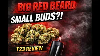 The Legend of South African Red Beard! #BRBT23 #BigRedBeard #MedicalCannabis #StrainReview