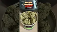Doc Green Bud Video Thumbnail