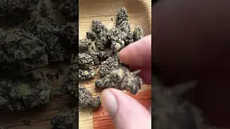 Four20pharma grape gas 23%thc #medicalcannabis #medbud.wiki #cannabiscommunity #420 #cannabistalk101