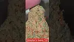 Phant - Strawberry Guava (smalls) T22 - Canada Grown crossed with Papaya - Very fruity and Sleepy