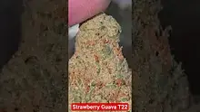 Vinnie's Lounge Video Thumbnail