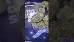 SunDaze Sierra Blaze Blue Dream (UK PRESCRIPTION MEDICATION)