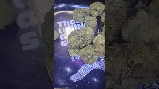 SunDaze Sierra Blaze Blue Dream (UK PRESCRIPTION MEDICATION)