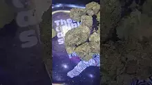 PrescribedBouquet Video Thumbnail