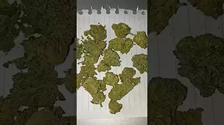 Khiron - Banana Ice Cake (BIC) (UK Medical Cannabis Prescription)