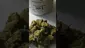 Video Thumbnail: MedicalUKCannabis