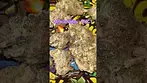 Miracle Valley ~ MAC 1 (24.6%) *Previous Batch* 