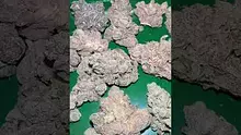 Bajan Video Thumbnail