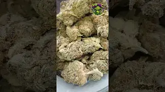 Craft Botanics | Superboof | UK Medical Flower | First Look