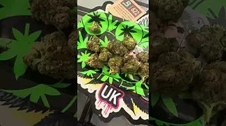 Lemon cherry z  by mamedica uk cannabis medical #cannabisheals #medical
