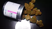 Dwarf Killa Video Thumbnail