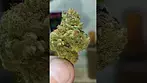 French cookies 30%THC... Medical Prescription cannabis.