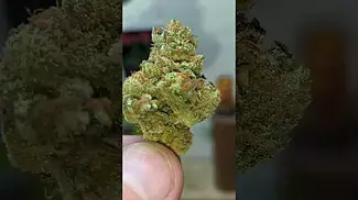 French cookies 30%THC... Medical Prescription cannabis.