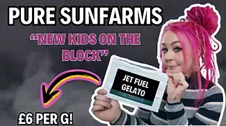 1st Look At Pure SunFarms £6 Per G | *Jet Fuel Gelato* 23