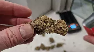 ALIEN KOFFEE | HYTN, 4C Labs, & Xeal Pharma | POLICE STATION REVIEW SNEAK PEAK