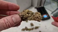 Smacksalad Video Thumbnail