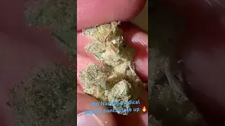 Big Narstie medical papaya bantz close up  #uk #medical #patient #flowers #youtubeshorts