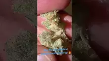 Bajan Video Thumbnail