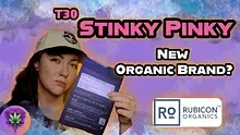 Smokey Mo Video Thumbnail