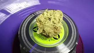 4C LABS CORE,T21 ULTRA SOUR,UK MEDICAL FLOWER