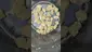 Video Thumbnail: Concanna